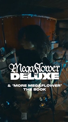 Megaflower Deluxe. 10 track LP photo book coming Dec 8. ✨ Pre order at link in bio. | Full Flower Moon Band