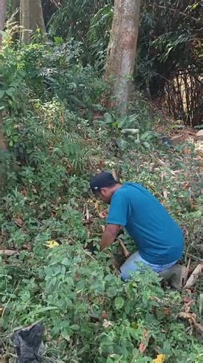Membersihkan Makam Tanpa Nama: Cara Aman dan Doa Sebelum Bersih-Bersih