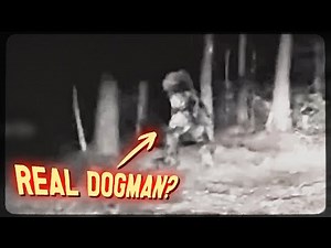 Driveway Dogman Sighting Analyzed — Truth Revealed