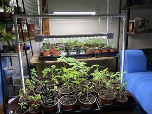 Making a Grow Light Stand from PVC