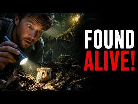 Extinct Animals Found Alive That Shocked Scientists