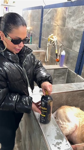 New year, same groomer—just more intention. You don’t need big, expensive changes to level up your services. The right small add-ons can transform the experience, boost value, and set the tone for the year ahead. Little upgrades, big impact. Start small. Upgrade smart. Carry it all year. ✨ Save this for your 2026 reset. Share with a groomer who needs this reminder. #groomers #groomerlife #groomingtips #groomingproducts