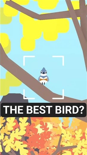 This might be the CUTEST bird