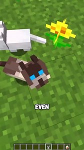 Minecraft’s new baby mob designs are adorable, but some still feel off