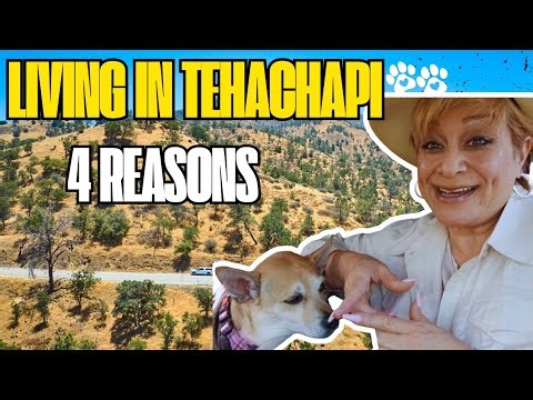 Why We Love Living in Tehachapi California 🐾 | 4 Reasons + Pet-Friendly Living