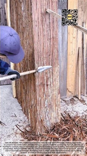 Traditional Bark Peeling Tool for Processing Tree Logs #9work