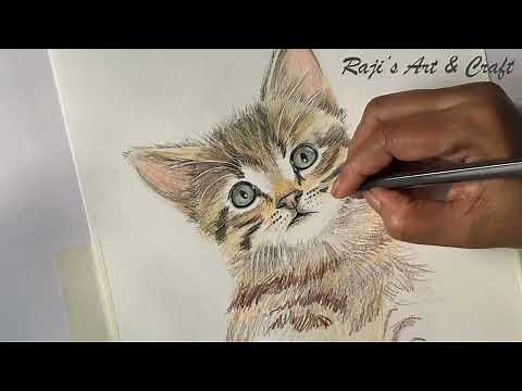 Cat/ Cat Colour Pencil Shade/ How to draw and colour Cat/ colour shading and blending/