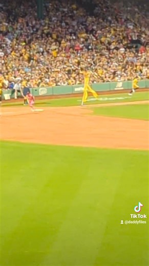 13K views · 254 reactions | Being at a The Savannah Bananas game is...