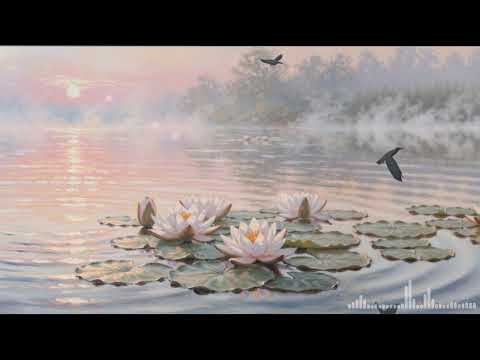 【癒しBGM】雪降る静かな夜、心に灯るチェロとピアノのぬくもり ～1/fゆらぎ～ | Snowy Night Cello & Piano Relaxation #癒しBGM #チェロ #ピアノ