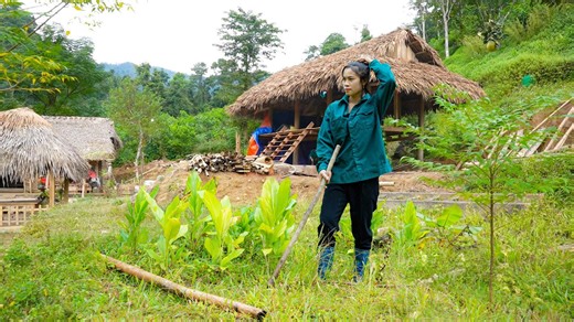 Dari ubi jalar hingga mawar: tips berkebun