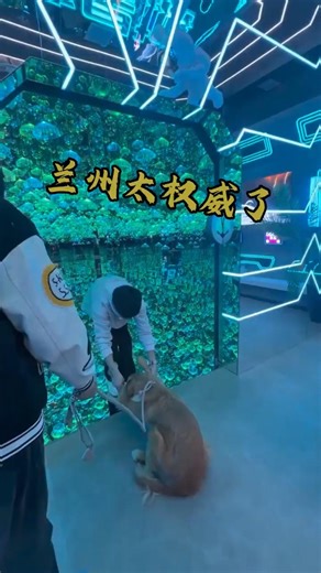 The Floating Glass Theater in Fantasy Space offers a thrilling and immersive experience #SnowyWinter