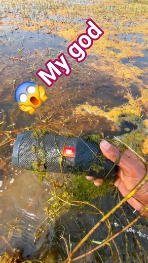 jbl essential filip2 water test sky jumping wat💧 👌