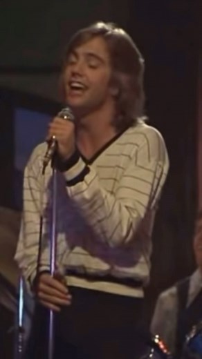 Kanary ☆ on Instagram: "Hey Deanie Shaun Cassidy Performed in 1978 on the Hardy Boys TV Show Both Shaun Cassidy and his brother David Cassidy were huge teenage heartthrobs in 70s America. #shauncassidy #heydeanie #hardyboys #hardyboystvseries #1978 #teenheartthrob"