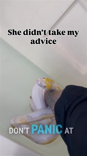 The guessing game on this video is my favorite. There is a solid reason why I am giving her a bath. #reticulatedpython #reptile #reptiles #snake #snakes