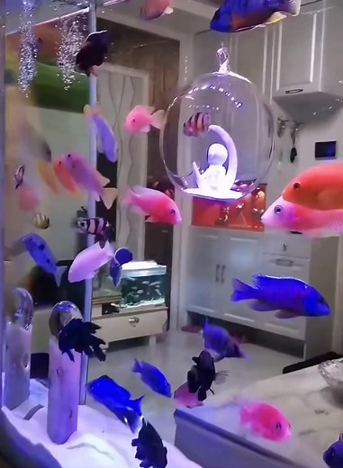 Colorful Aquarium Fish Display in Modern Living Room