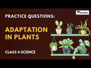 Class 4 Science Practice Question Answers - Adaptations in Plants