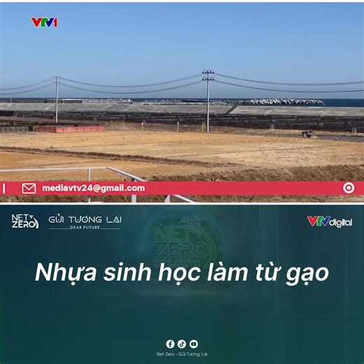 Tại công ty có tên là Biomass Resin, gạo được kết hợp với các hạt nhựa nhỏ, làm nóng và nhào trộn rồi tạo hình thành các viên nhỏ màu nâu. Các viên này, có thể chứa 50% hoặc 70% gạo, sau đó được gửi đến các công ty sản xuất ra các đồ nhựa ít carbon như dụng cụ ăn và hộp đựng thức ăn mang đi. Theo Chuyển động 24h - VTV1 ************* NetZero -Gửi tương lai được phát sóng vào 20h30 thứ 3 hàng tuần trên VTV1. ⭐Chương trình với sự phối hợp thực hiện của PSC Media! #netzerodearfuture #netzeroguituong