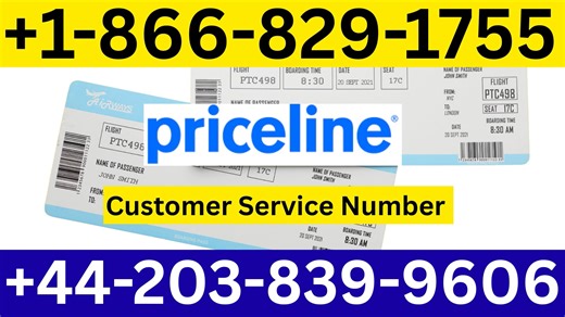 The Complete Guide To Contacting Priceline— By Phone, Chat, Email, Or App