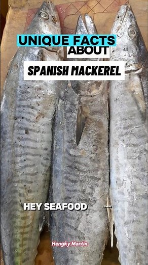 Amazing Facts About Spanish Mackerel You Need to Know! #SeafoodSecrets