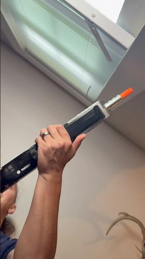 I Tested a Bug-A-Salt Gun on a Hornet (Don’t Do This)