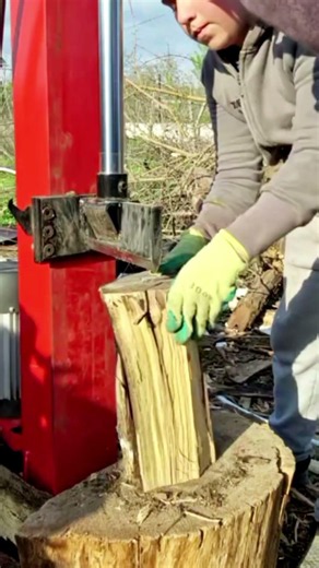 Vertical Log Splitter #logsplitter #firewood