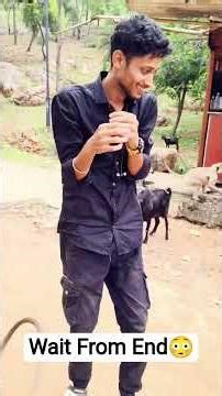 The Monkey Attacked😱#vlog #funny #automobile