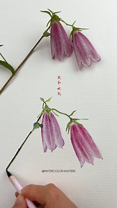 Watercolor painting by artist Anhe (Douyin) — a delicate botanical study brought to life through soft washes, subtle gradients, and beautifully controlled transparency. The artist captures the gentle texture and graceful droop of the flowers with precision, creating a serene and refined composition that feels light, natural, and effortlessly elegant. Artist: Anhe (Douyin) #watercolorpainting #botanicalart #floralart #artprocess #fineart #watercolorartist #realismart #art | Watercolor Masters