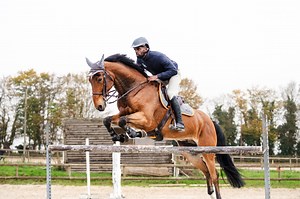 Merci 2024, bienvenue 2025 🧡 | Equisense