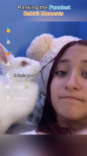 Ranking the Funniest Rabbit Moments 🐰🤣