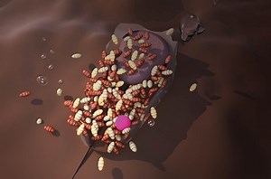 How to master maggot fishing