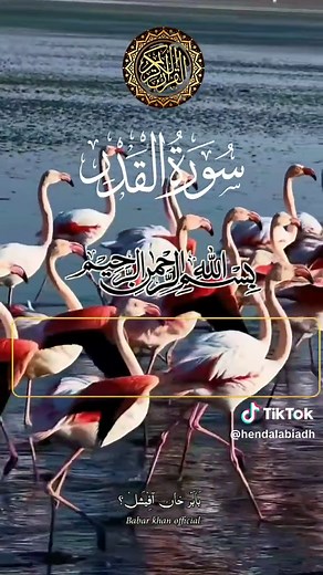 تلاوات القرآن الكريم بصوت الشيخ عبد الباسط عبد الصمد