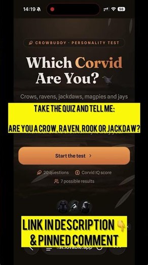 🐦‍⬛ Which Corvid Are You? (99% Get This Wrong)