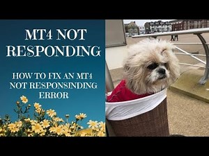 2021 How to fix an MT4 Not Responding error - this solution WORKS!!