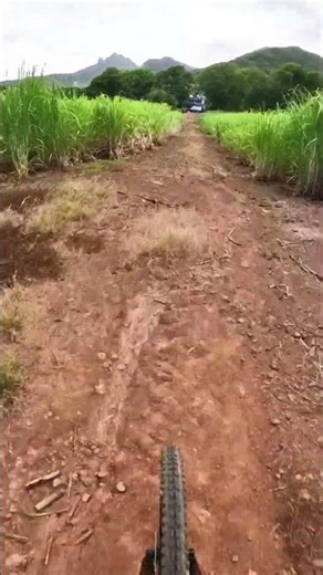 #MTBFREERIDE SMASHING THE TRAIL