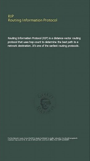 RIP Routing Information Protocol - Network+