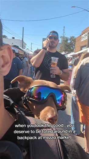 called my UberDad. 😎 #mezzomarket #stpete #cooldog #uberdog
