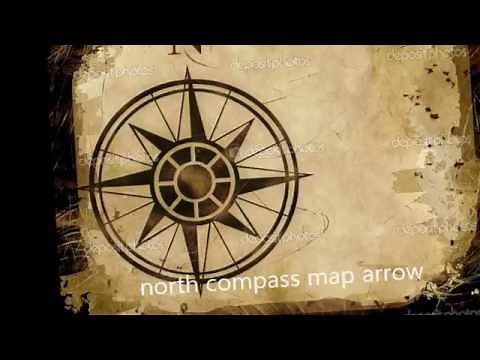 REM Stand Picture lyrics