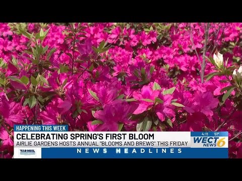 INTERVIEW: Airlie Gardens hosting “Blooms and Brews” event this week