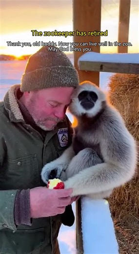 Tips for Feeding Your New Pet Monkey