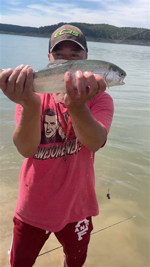 Healthy Rainbow Trout: Trinidad Lake: Colorado: #fishing #world
