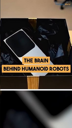 The Brain Behind Humanoid Robots