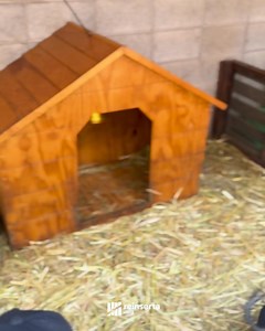 8.7K views · 19 reactions | Reinserta on Reels | Facebook