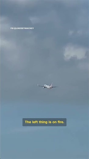 Jet engine on fire after bird strike