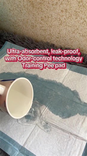 Fast Absorbent Training Pee Pads for Cats and Dogs