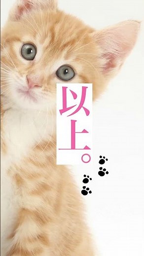 猫好き集合。『吾輩も猫である』赤川次郎／新井素子／石田衣良／荻原浩／恩田陸／原田マハ／村山由佳／山内マリコ
