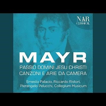 Passio domini nostri Jesu Christi: Et venit ad discipulos suas