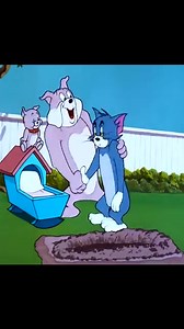 Cartoons #tomandjerry tom | Wisdom Tv