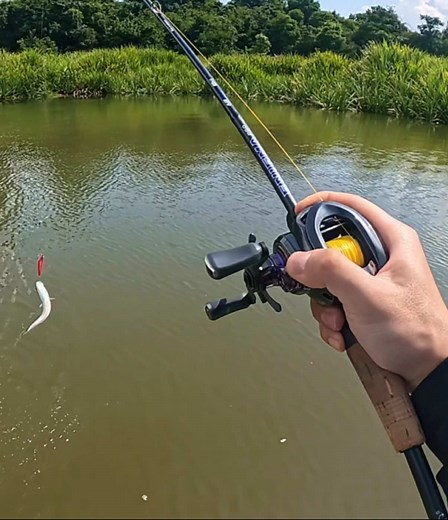 POV TOP WATER ✏️. #pancing #fishing #fishinglife #fyp #fypシ #castingfishing🎣 #ajiking #tcetackles #tcetacklesmalaysia #casting