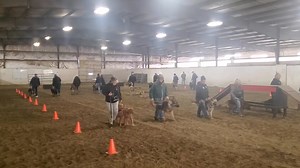 24 reactions · 13 comments | PK9 TRAINING PK9 RANCH SATURDAY 8:00 AM. PRIVATE SESSIONS 8:00 AM. PERSONAL PROTECTION PK9 TRAINING PK9 FACILITY SATURDAY 9:30 AM. HANDLERS COURSE AND ADVANCED TEAMS | Protection K9 Training Club | Facebook