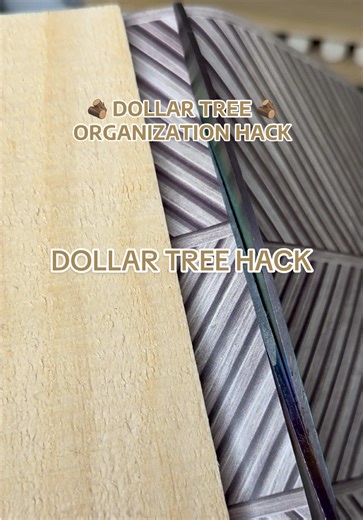 Dollar Tree Organization Hack 🤩 Super easy and cute. #dollartree #dollartreehack #dollartreeDIY #dollartreefinds